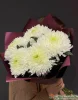 хризантема одноголовая 5 штук