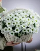 25 хризантем