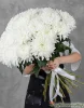 15 хризантем магнум
