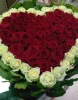 Сердце из 75 роз