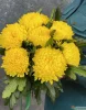 7 желтых хризантем магнум