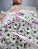 хризантема ромашка с гипсофилой