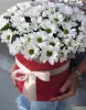 Шляпная коробка с белой хризантемой, 9 шт.