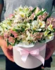 25 альстромерий в коробке