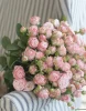Букет "Воздушное настроение" из 25 кустовых пионовидных роз
