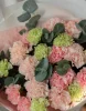 Букет разноцветных гвоздик, 25 шт