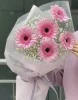 букет из гербер и гипсофилы
