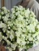 Букет из 35 кустовых роз