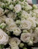 Букет из 35 кустовых роз