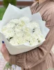 Букет из 25 белых гвоздик