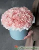 Шляпная коробка с розовой гвоздикой, 25 шт.