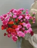 Букет разноцветных гвоздик, 15 шт